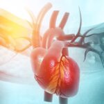 Ipercolesterolemia: &ldquo;The lower, the better&rdquo; cosa dicono le linee guida della Societ&agrave; Europea di Cardiologia (ESC) e dell&rsquo;Aterosclerosi (EAS).
