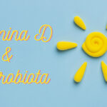 Vitamina D: sintesi, assorbimento e ruolo del microbiota intestinale.